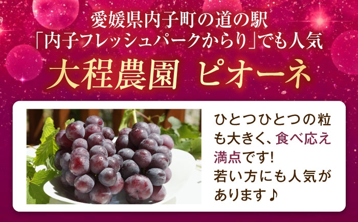 フルーツ 果物 くだもの 食品 人気 おすすめ 送料無料 ピオーネ 葡萄 ブドウ 種無し たねなし ぶどう ブドウ 葡萄