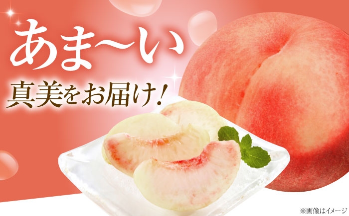 モモ 桃 フルーツ 果物 1箱 くだもの もも モモ 真美 まみ 甘い ジューシー 低酸味 旬 夏 大容量 産地直送 愛媛