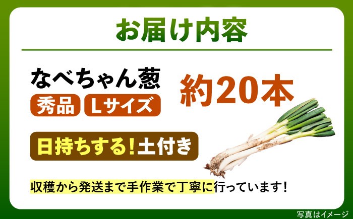 島根 農家 土づくり 手作り 野菜 葱 ネギ ねぎ 鍋 土つき 5kg