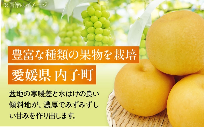 かき カキ ブドウ 葡萄 梨 なし ナシ 和梨 果物 フルーツ 国産 産地直送梨 ナシ なし 定期便 かき カキ 柿 ぶどう
