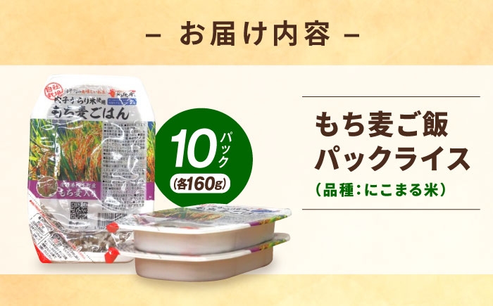 米 もち麦 ごはん 愛媛県産 お米 パックご飯 パックご飯 レトルト ご飯 白米 もちもち にこまる 愛媛 内子町 国産