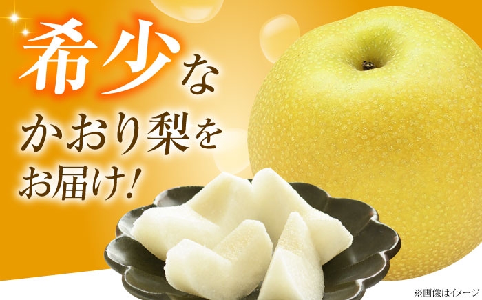 フルーツ 果物 くだもの 食品 人気 おすすめ 送料無料 梨 なし かおり梨 季節のフルーツ 梨 ナシ なし かおり梨 甘い