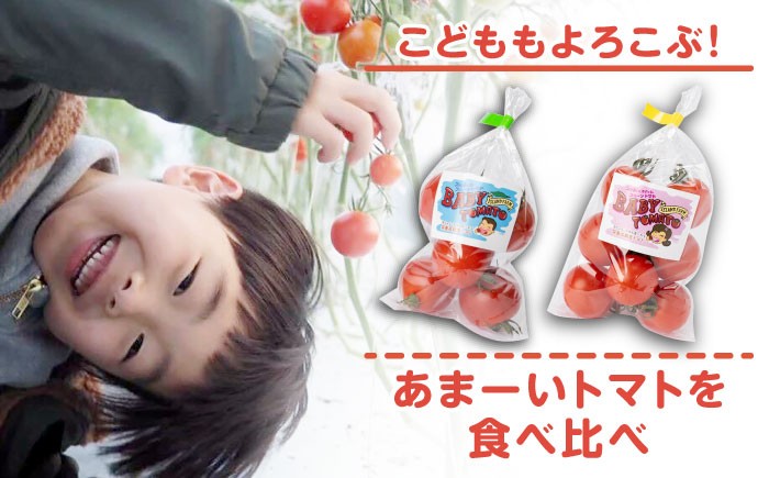 トマト とまと あまい 甘い 新鮮 野菜 おいしい 美味しい 絶品 生鮮