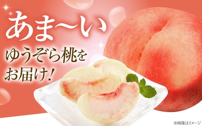 モモ 桃 フルーツ 果物 1箱 くだもの もも モモ ゆうぞら 晩生 希少 甘い ジューシー 旬 夏 大容量 産地直送 愛媛