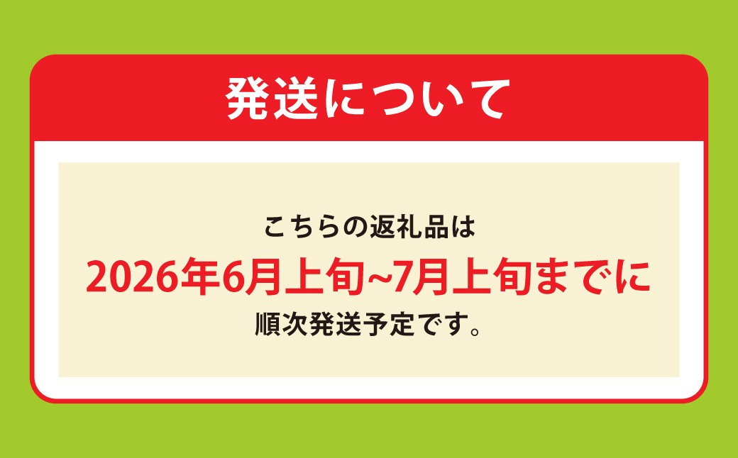 金色羅王スイカ 1玉 約7kg
