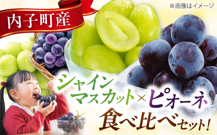 シャインマスカット 大人気 愛媛県 美味しい 人気 皮ごと 葡萄 ブドウ 愛媛県産 内子町産 新鮮 旬 フルーツ 果物