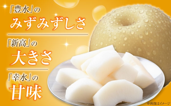 フルーツ 果物 くだもの 食品 人気 おすすめ 送料無料 梨 なし あきづき梨 季節のフルーツ 梨 ナシ なし あきづき 甘い