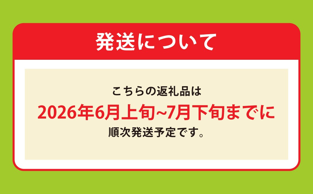 黒小玉スイカ
