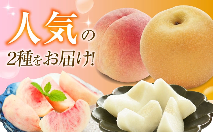 桃 もも 梨 なし フルーツ 果物 くだもの 季節のフルーツ 桃 モモ もも 梨 ナシ なし セット 詰め合わせ 旬 夏