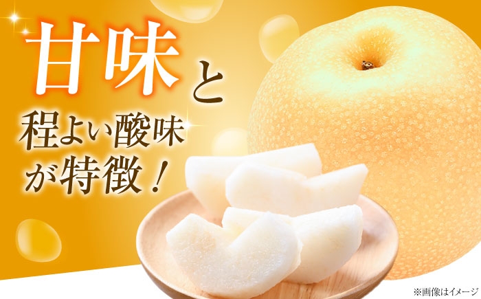 フルーツ 果物 くだもの 食品 人気 おすすめ 送料無料 梨 なし 豊水梨 季節のフルーツ 梨 ナシ なし 豊水 ほうすい