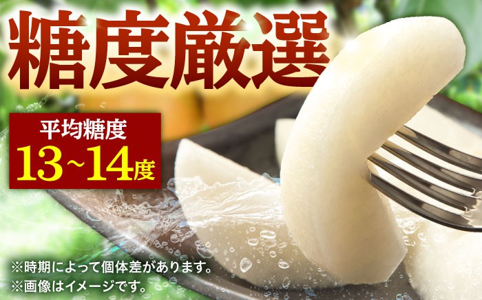 なし 梨 日田 和梨 果物 くだもの 果汁 フルーツ デザート 旬 あきづき