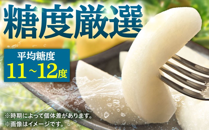 なし 梨 日田 和梨 果物 くだもの 果汁 フルーツ デザート 旬 豊水 ほうすい