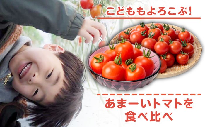 トマト とまと あまい 甘い 新鮮 野菜 おいしい 美味しい 絶品 生鮮