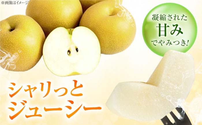 フルーツ 果物 くだもの 食品 人気 おすすめ 送料無料 梨 なし かおり梨 季節のフルーツ 梨 ナシ なし かおり梨 甘い