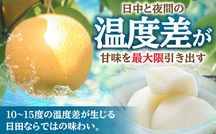 なし 梨 日田 和梨 果物 くだもの 果汁 フルーツ デザート 旬 豊水 ほうすい