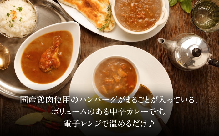 カレー パウチ インスタント食品 カレーライス 調理済みカレー レトルトカレー インスタントカレー セット インスタント