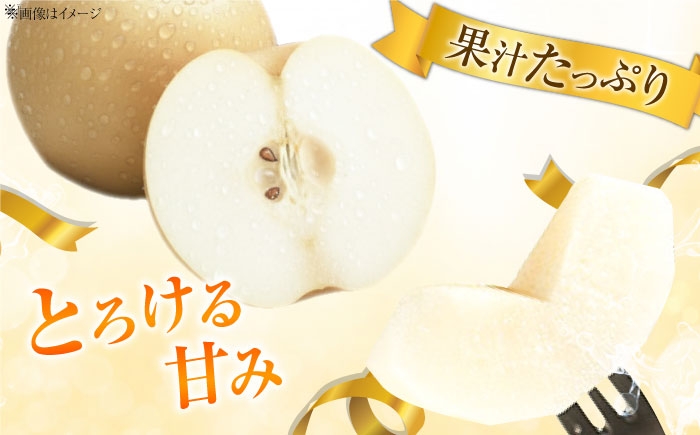フルーツ 果物 くだもの 食品 人気 おすすめ 送料無料 梨 なし あきづき梨 季節のフルーツ 梨 ナシ なし あきづき 甘い