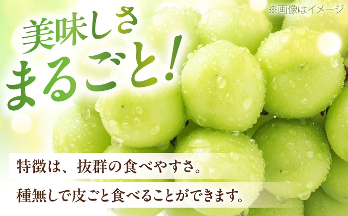シャインマスカット しゃいんますかっと シャイン マスカット ますかっと 秀品 2房 1kg 皮ごと 葡萄 ブドウ ぶどう