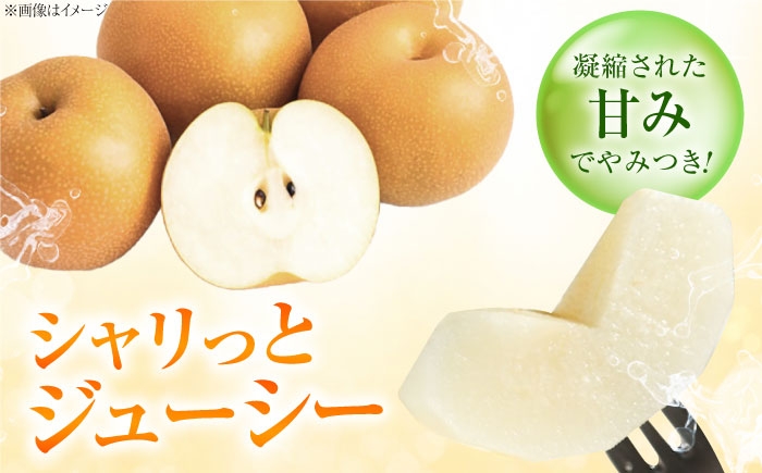 桃 もも 梨 なし フルーツ 果物 くだもの 季節のフルーツ 桃 モモ もも 梨 ナシ なし セット 詰め合わせ 旬 夏