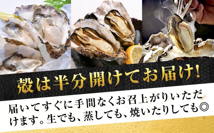 牡蠣 生食用 殻付き kaki かき カキ 生牡蠣 広島牡蠣 オイスター