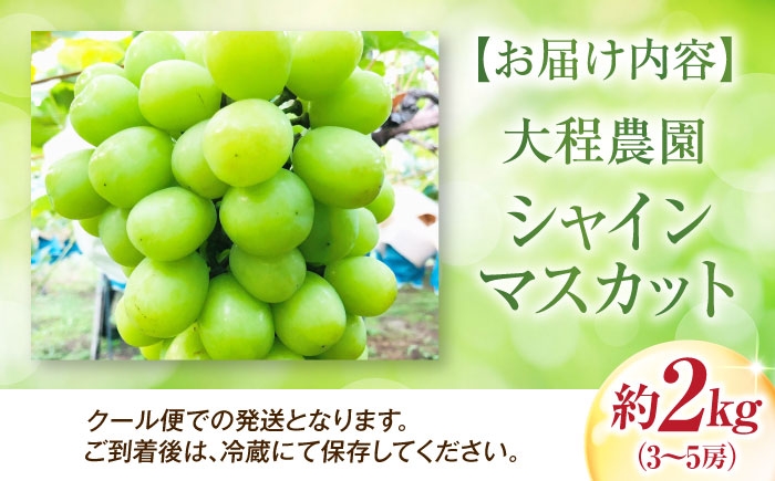 フルーツ 果物 くだもの 食品 人気 おすすめ 送料無料 シャインマスカット マスカット ますかっと ぶどう ブドウ 葡萄