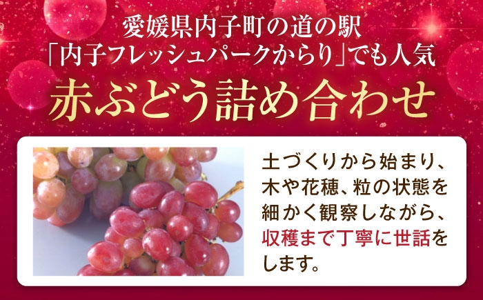 赤ブドウ ぶどう 葡萄 フルーツ 果実 お取り寄せ おすすめ 甘い 種なし 果物 ぶどう ブドウ 葡萄 赤ぶどう コトピー