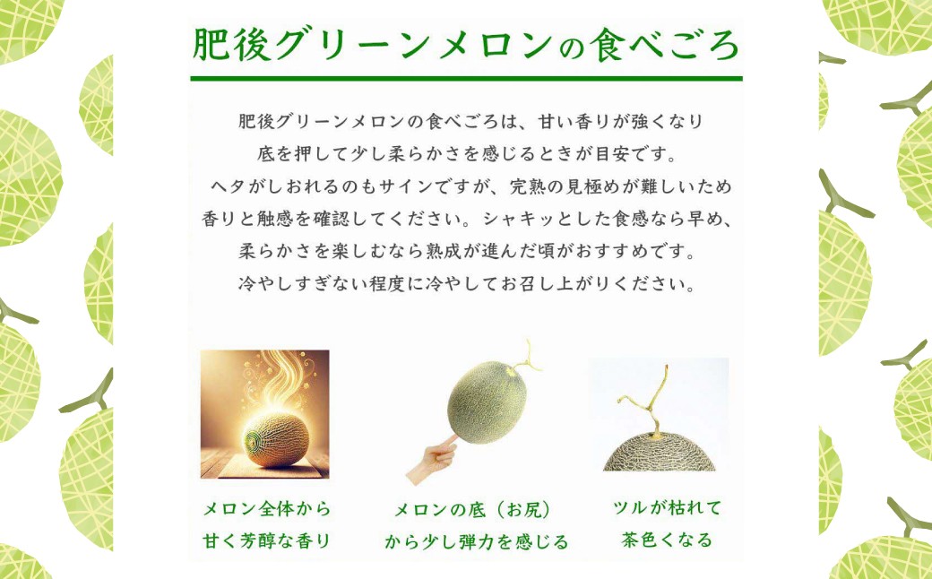 肥後グリーンメロンの食べごろ