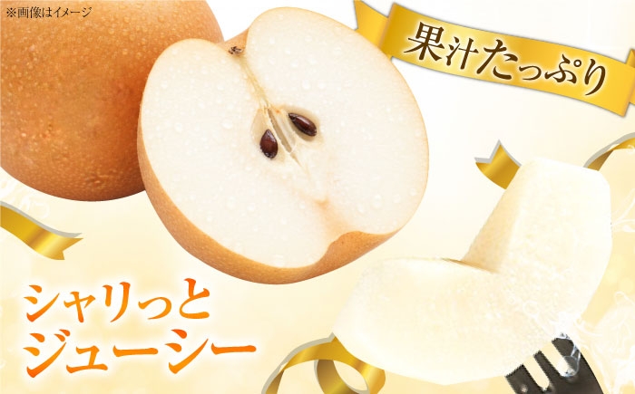 フルーツ 果物 くだもの 食品 人気 おすすめ 送料無料 梨 なし 豊水梨 季節のフルーツ 梨 ナシ なし 豊水 ほうすい