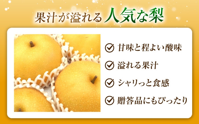 フルーツ 果物 くだもの 食品 人気 おすすめ 送料無料 梨 なし 豊水梨 ほうすいなし 梨 ナシ なし 豊水 ほうすい