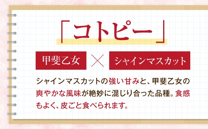 赤ブドウ ぶどう 葡萄 フルーツ 果実 お取り寄せ おすすめ 甘い 種なし 果物 ぶどう ブドウ 葡萄 赤ぶどう コトピー