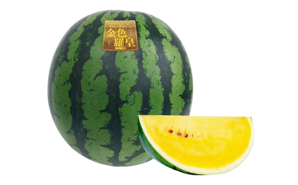 金色羅王スイカ 1玉 約7kg