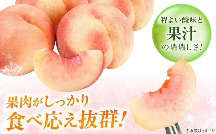 桃 もも 梨 なし フルーツ 果物 くだもの 季節のフルーツ 桃 モモ もも 梨 ナシ なし セット 詰め合わせ 旬 夏