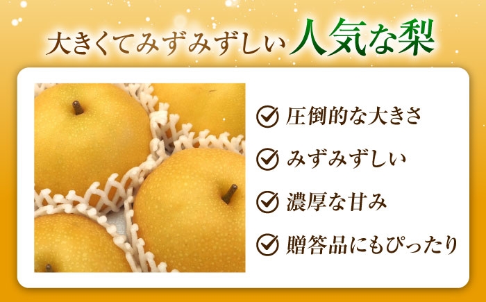 梨 なし フルーツ 果物 くだもの 食品 人気 おすすめ 季節のフルーツ 豊水梨 梨 ナシ なし 豊水 ほうすい ほうすいなし
