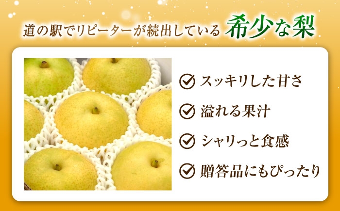フルーツ 果物 くだもの 食品 人気 おすすめ 送料無料 梨 なし かおり梨 季節のフルーツ 梨 ナシ なし かおり梨 甘い