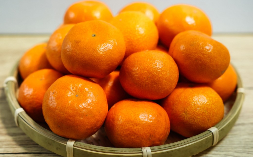 熊本県産温州みかん