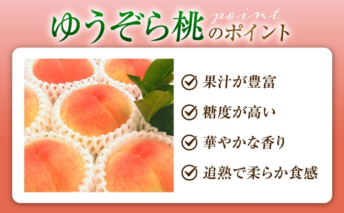 モモ 桃 フルーツ 果物 1箱 くだもの もも モモ ゆうぞら 晩生 希少 甘い ジューシー 旬 夏 産地直送 愛媛 内子町