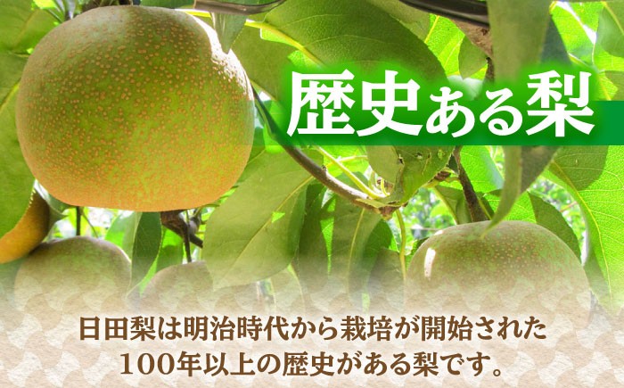 梨 なし 幸水 こうすい 果物 くだもの フルーツ ふるーつ 旬