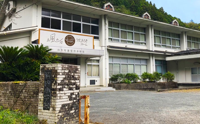 コオロギ 生餌 こおろぎ ペット用 爬虫類 エサ 餌 内子町コオロギ ペット 活き 昆虫 ヨーロッパイエコオロギ 愛媛 国産