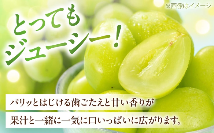 シャインマスカット しゃいんますかっと シャイン マスカット ますかっと Shine Muscat 秀品 3～5房 皮ごと