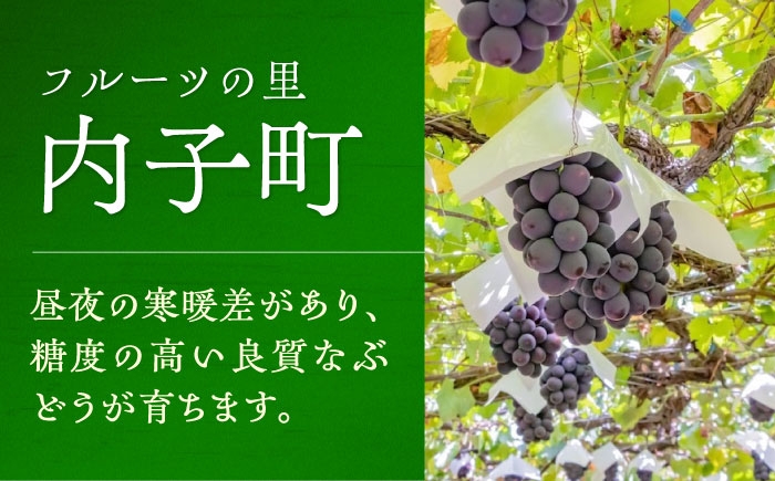 ワイン ロザリオワイン わいん wine お酒 酒 洋酒 愛媛県 愛媛 内子町 国産ワイン 日本ワイン 果実酒 送料無料 人気
