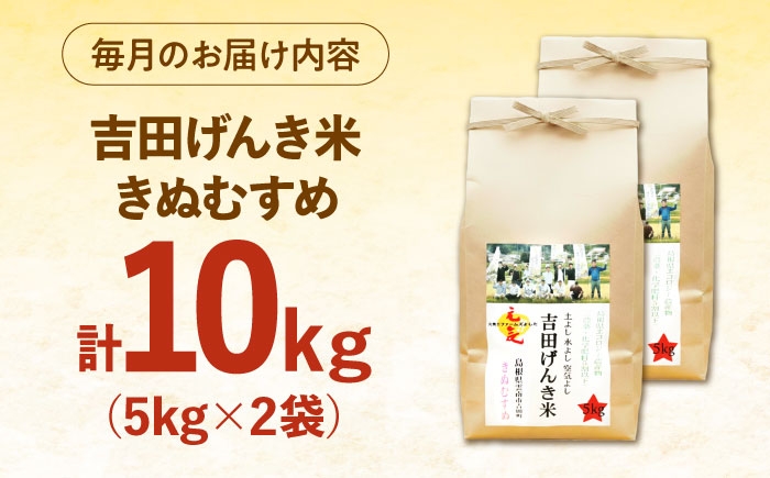 白米 こめ げんき米 定期便 きぬむすめ ごはん お弁当 国産 おいしい