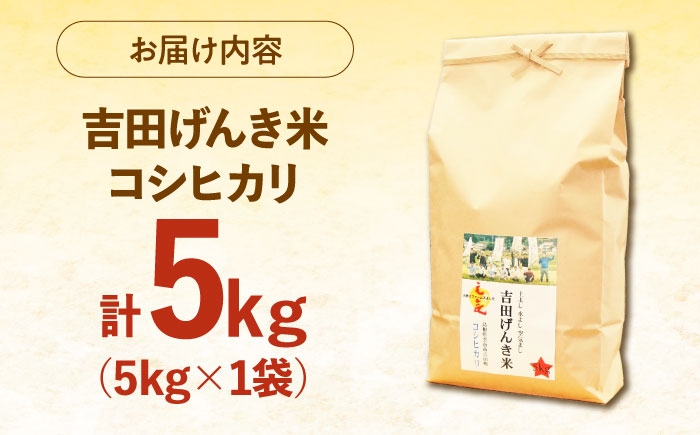 米 白米 コシヒカリ 5kg