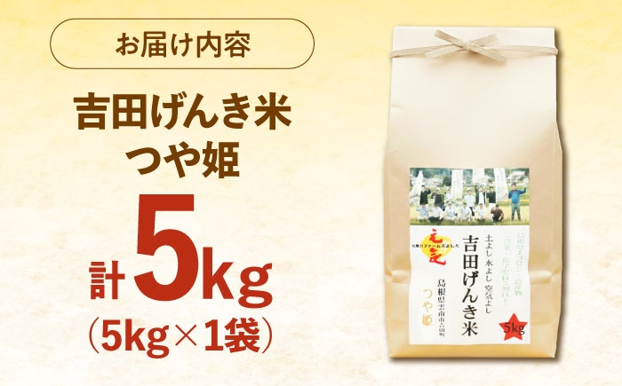 白米 おこめ げんき米 単品 つや姫 ごはん お弁当 国産 おいしい 