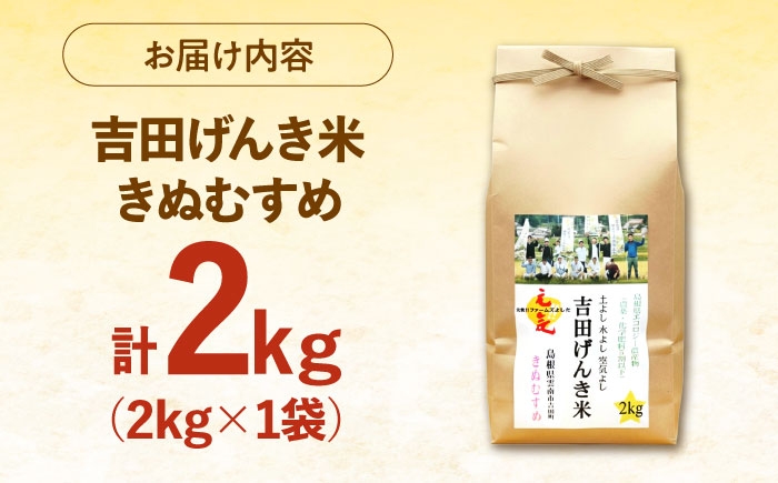 白米 おこめ げんき米 単品 きぬむすめ ごはん お弁当 国産 おいしい 