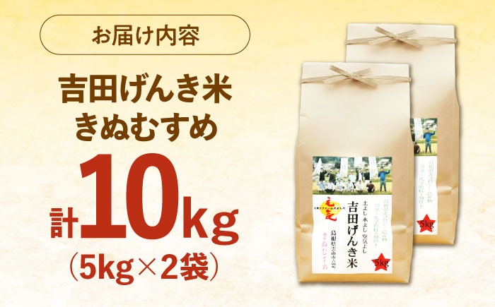 白米 おこめ げんき米 単品 きぬむすめ ごはん お弁当 国産 おいしい 