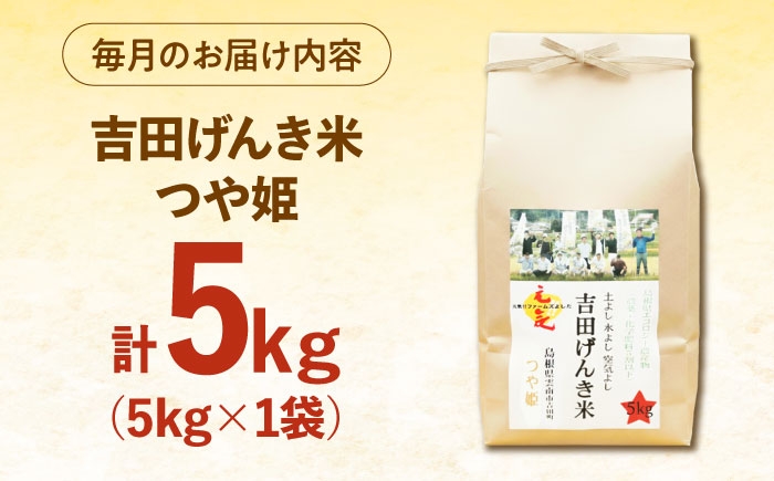 白米 おこめ げんき米 定期便 つや姫 ごはん お弁当 国産 おいしい 
