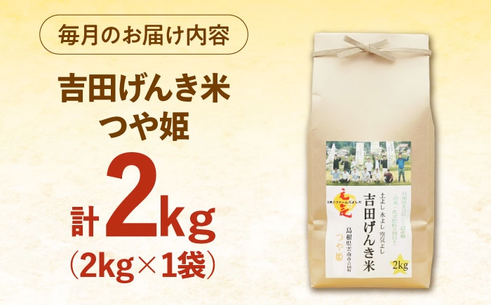 白米 おこめ げんき米 定期便 つや姫 ごはん お弁当 国産 おいしい 