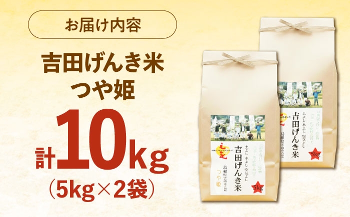白米 おこめ げんき米 単品 つや姫 ごはん お弁当 国産 おいしい 