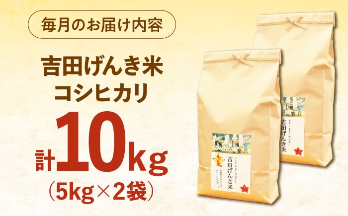 米 お米 げんき米 白米 精米 コシヒカリ 10㎏ 定期便 ごはん 国産 