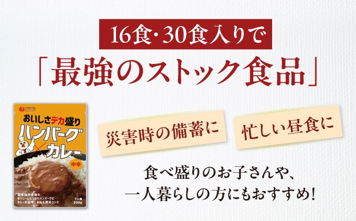 カレー パウチ インスタント食品 カレーライス 調理済みカレー レトルトカレー インスタントカレー セット インスタント